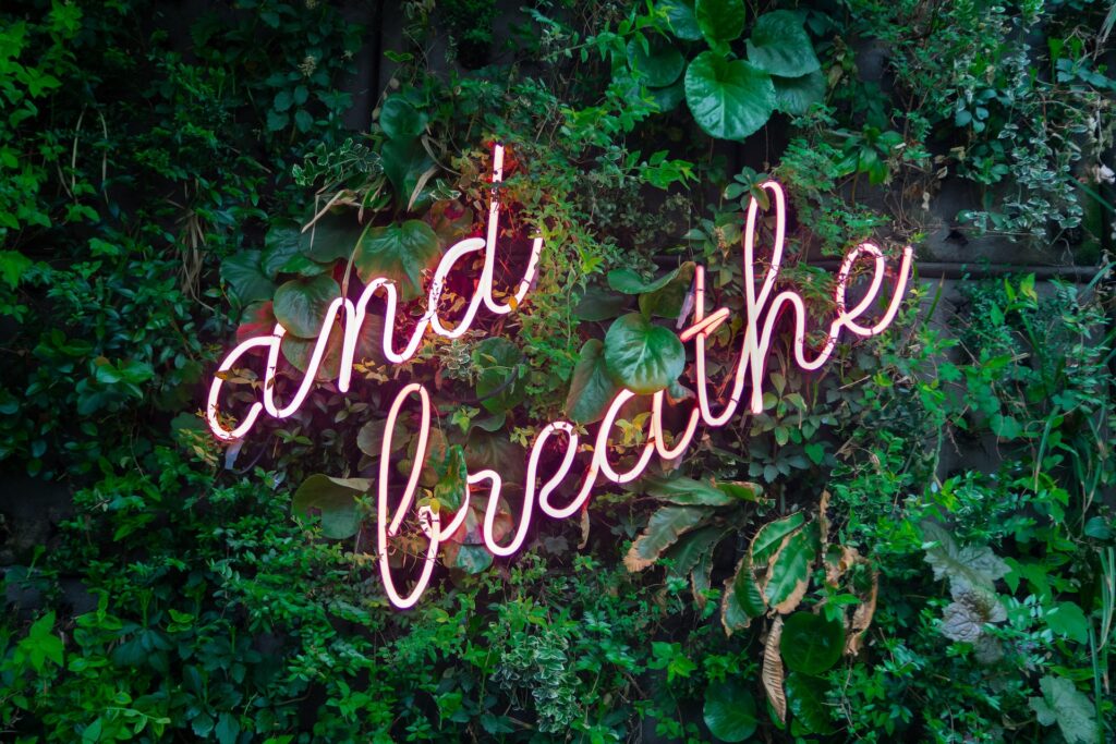 A neon pink sign 'and breathe' against greenery on a wall